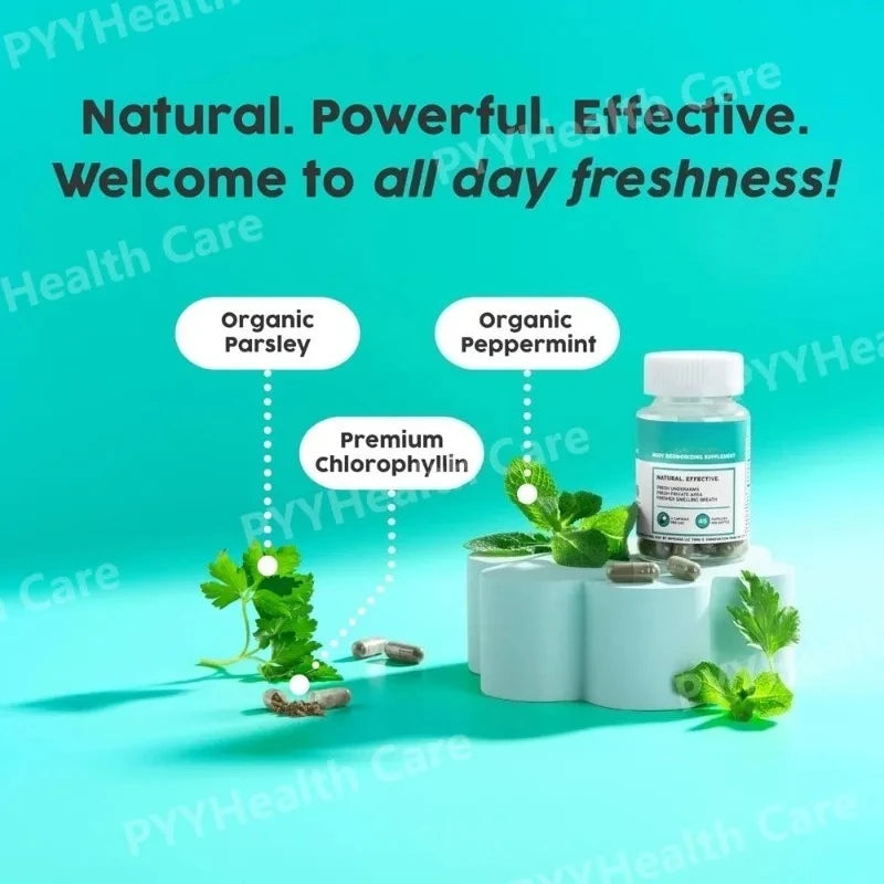 Chlorophyll Capsules Natural Plant-based Supplement Contain Herbal Ingredients for Digestion Support & Gut Health Skin Health